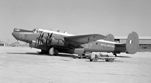 Shackleton Prints: Avro Shackleton MR. 2 WL788