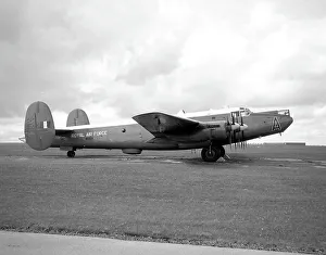 Shackleton Prints: Avro Shackleton MR.2 WG544 - A