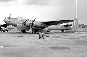 Shackleton Prints: Avro Shackleton MR.2 WG554 - H