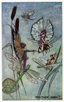 Dragonfly Collection: Whither Away by Florence Mary Anderson