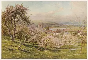 Axmouth Prints: Axmouth / Devon / 1909
