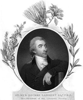 1761 Gallery: Aylmer Bourke Lambert