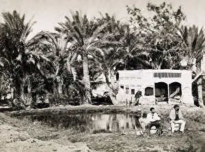 Musa Gallery: Ayun Musa, The Wells of Moses, Palestine, Holy Land