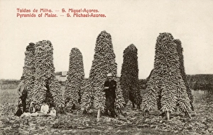 Maize Collection: Azores, Portugal - Maize Pyramids