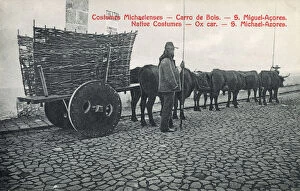 Azores Collection: Azores, Portugal - Ox wagon with solid wheels - wicker sides