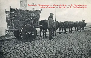 Azores, Portugal - Ox wagon with solid wheels - wicker sides Azores, Portugal - Ox wagon with solid wheels - wicker sides
