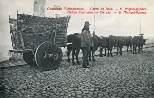 Oxen Prints: Azores, Portugal - Ox wagon with solid wheels - wicker sides