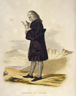 Examining Prints: B De Jussieu / Guilleminot