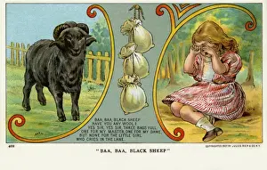 Baa, Baa, Black Sheep