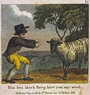 Baa Baa Black Sheep