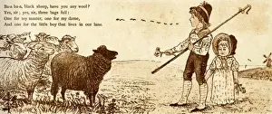Lives Prints: Baa baa black sheep, have you any wool?