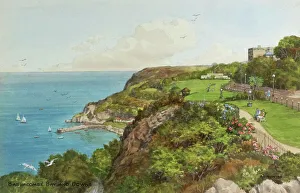 Babbacombe Bay and Downs, near Torquay, Devon