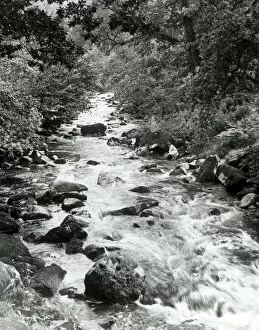 Brook Collection: Babbling brook, North Wales