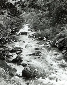 Brook Prints: Babbling brook, North Wales