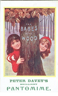 Images Dated 25th August 2016: The Babes in the Wood, Lyceum Theatre, Ipswich