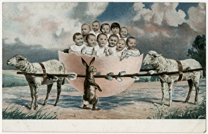 Images Dated 17th June 2016: Babies in a broken eggshell