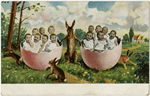 Images Dated 17th June 2016: Babies in broken eggshells