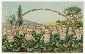 Babies in Cabbage Patch