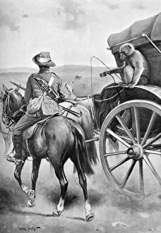 Images Dated 26th June 2018: Baboon military mascot, 1901