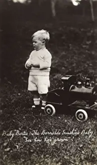 Bertie Prints: Baby Bertie, The Barnardo Sunshine Baby