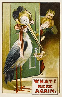 Stork Gallery: BABY BROUGHT BY STORK