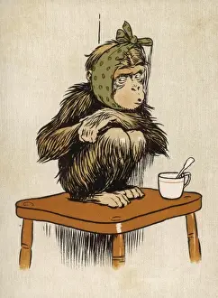 Suffering Prints: Baby Chimpanzee Aldin