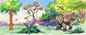 Images Dated 24th August 2006: Baby Elephant and Bird