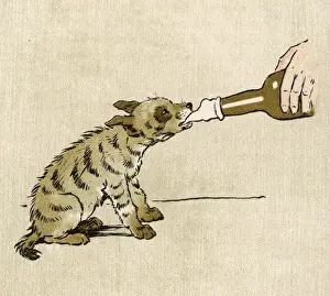Hyena Prints: Baby Hyena Drinking 1907