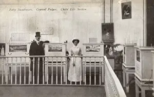 Baby Incubators - Crystal Palace