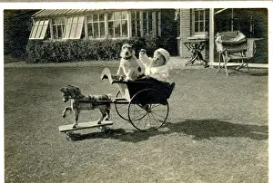 Russell Prints: Baby and Jack Russell terrier in cart pulled by toy horse