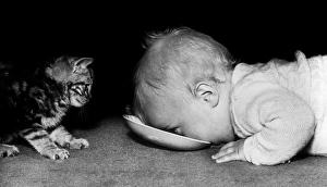 Images Dated 20th June 2016: Baby and Kitten