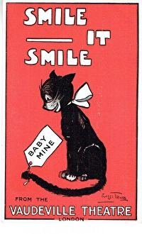 Performing Cats