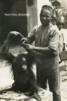 Baby orangutan and owner - Singapore