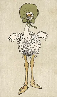Al Din Prints: Baby Ostrich Aldin 1907