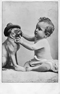 Examining Prints: Baby and Pug Dog