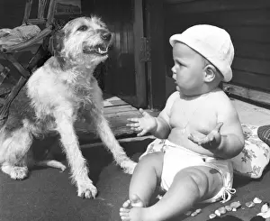 Baby at seaside with dog