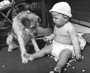Baby at seaside with dog