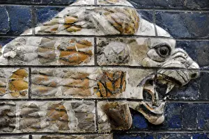 Babylon. Monumental Procession Street. Lions relief