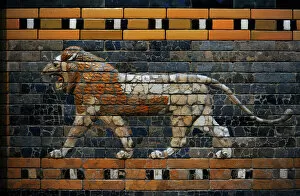 Near Gallery: Babylons lion. Lion decorated the Processional Wal (Ishtar