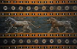 Babylons lion. Lion decorated the Processional Wal (Ishtar