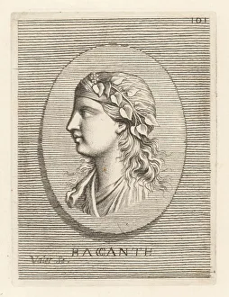 Grapes Prints: One of the Bacchantes or Bacchae
