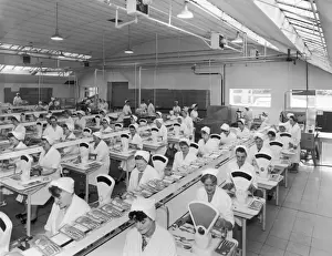Bacon Factory 1960S