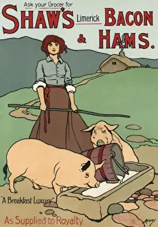 Limerick Prints: Bacon and Ham Advert