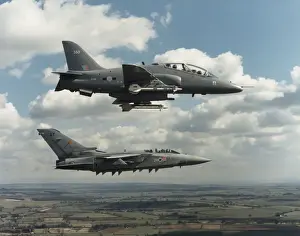 BAE Hawk