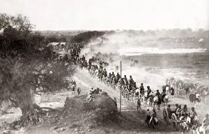 Baggage Train, British army Camp of Exercise, Delhi, 1886