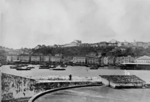 Settlement Gallery: Bahia, Brazil, South America 1873