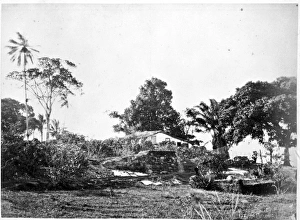 Bahia public gardens, Bahia, Brazil, South America 1873 Bahia public gardens, Bahia, Brazil, South America 1873