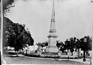 Bahia public gardens, Brazil, South America 1873 Bahia public gardens, Brazil, South America 1873