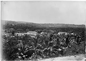 Bahia roadside view, Brazil, South America 1873