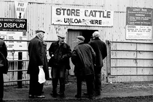 Agriculture Collection: Bakewell, Derbyshire Cattle Market - 2